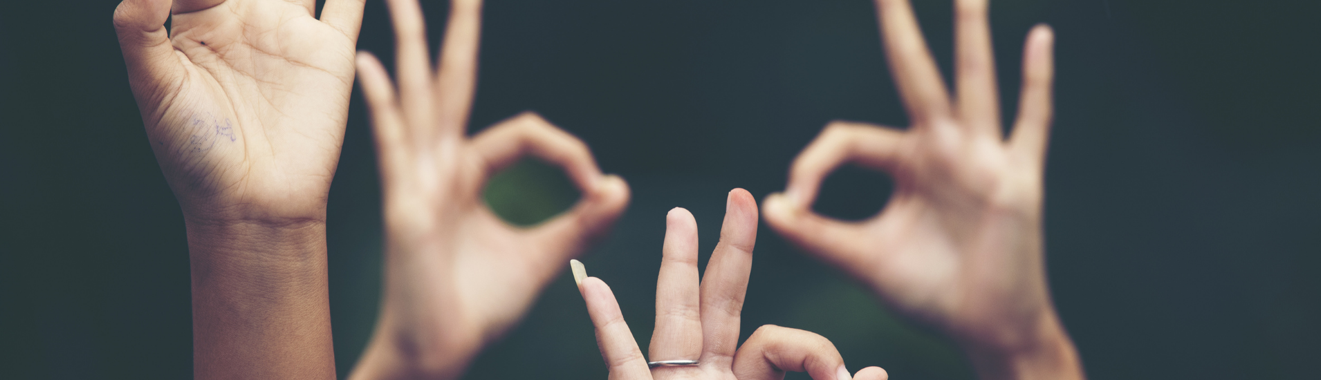 image banner19