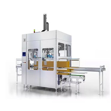 Grab Type Packing Production Line